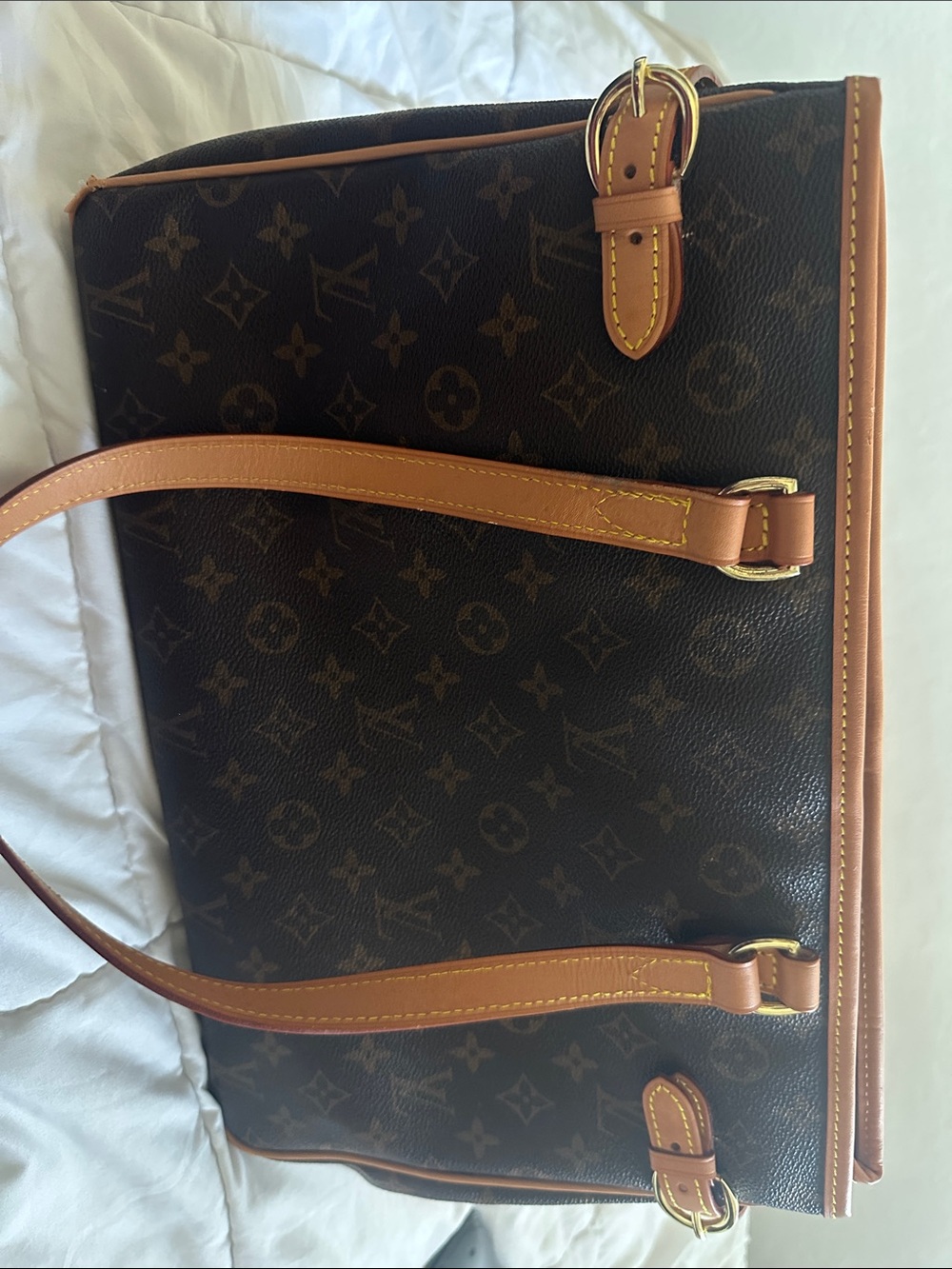 Classic Brown Leather LV Bag